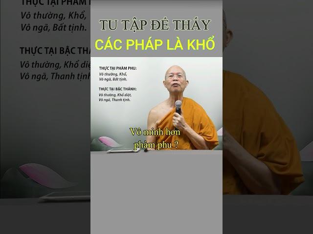 Tu để thấy các Pháp là Khổ có đúng không?  #thiền_sư_nguyên_tuệ