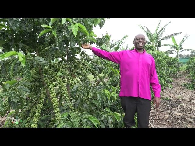 COFFEE GROWING / WHAT YOU NEED TO KNOW ABOUT COFFEE GROWING