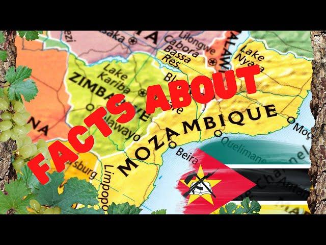 Discover Mozambique: 10 Amazing Facts You Didn't Know!
