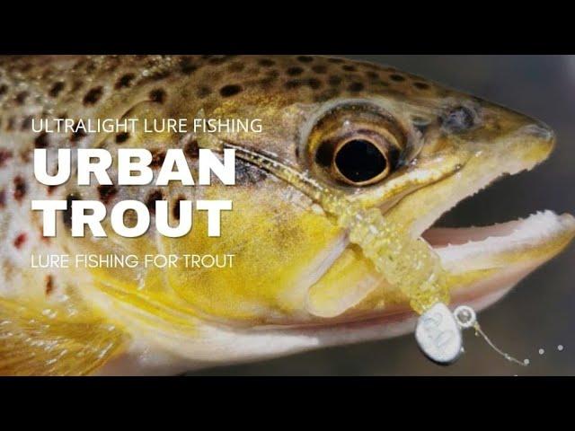 Ultralight Lure Fishing - Urban Trout - Lure Fishing for Trout