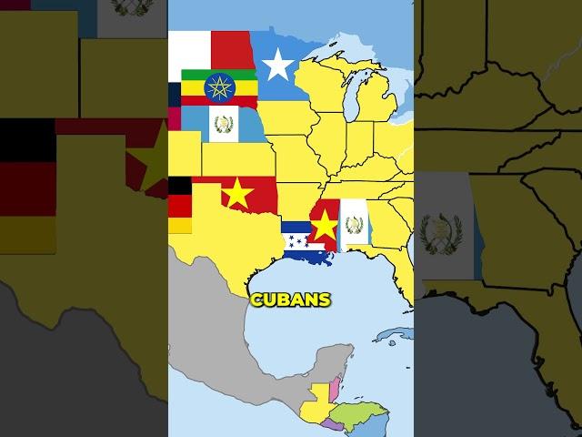 The USA by its Non-American Population! #usa #geography #unitedstates