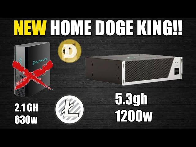 NEW King Of Home DOGE Mining Fluminer L1!!! DG 1 Home Is Defeated Already.