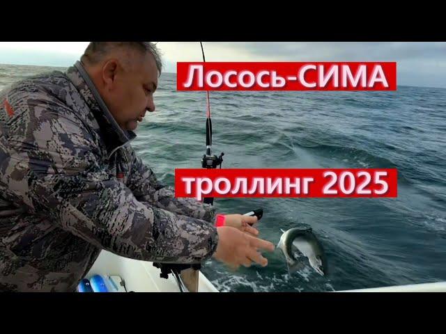 Лосось -СИМА троллинг 2025