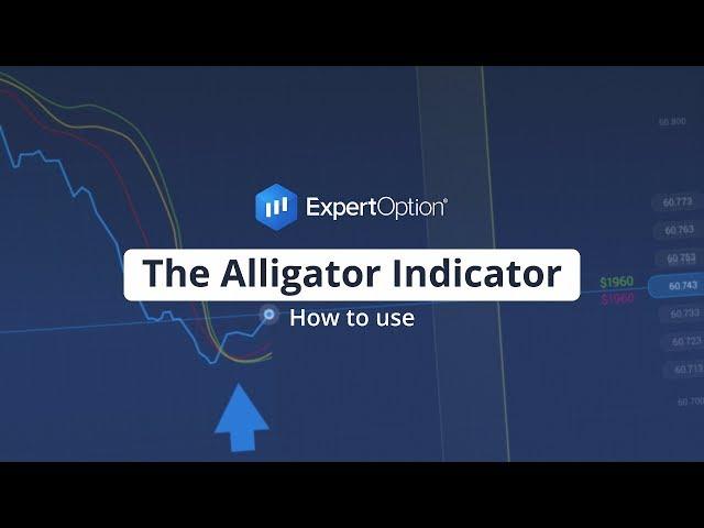 Alligator Indicator | Trading Education | ExpertOption®