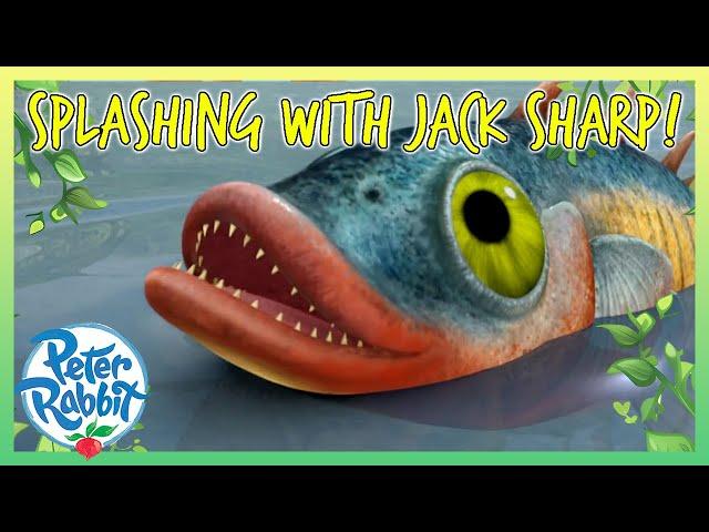 @OfficialPeterRabbit -  Splashing Moments With Jack Sharp   | Cartoon for Kids