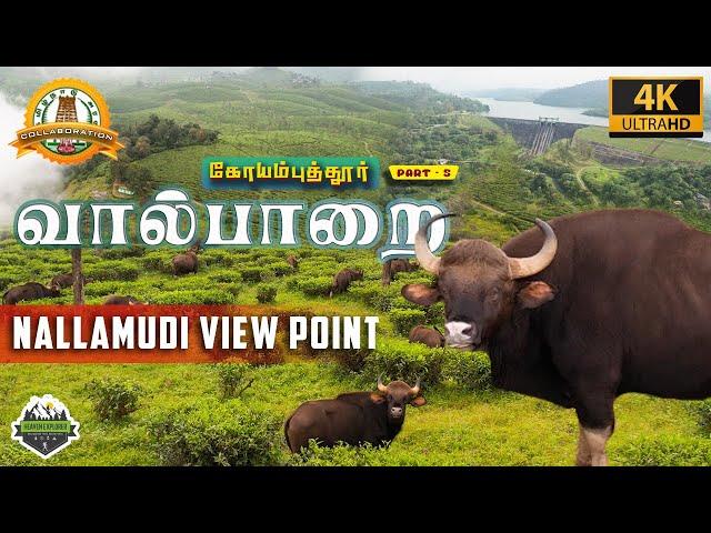 வால்பாறை சுற்றுலா | Elephant spotted | Drone shots - Heaven Explorer