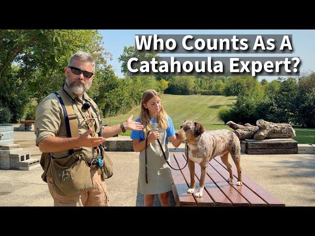 Catahoula Leopard Dog | Who Counts As An Expert?