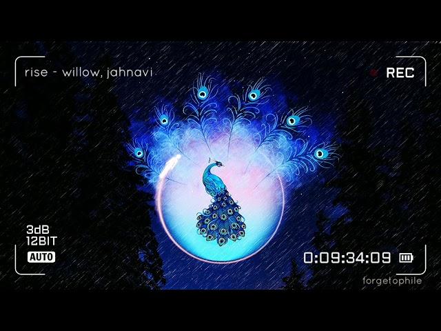 Rise - willow, jahnavi (30 mins Loop)