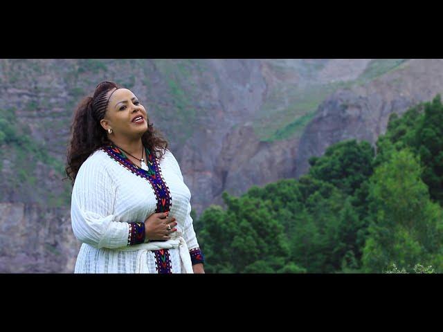 Amsal Mitike / ወይ ወሎ /  Ethiopian Music 2019 (Official Video)