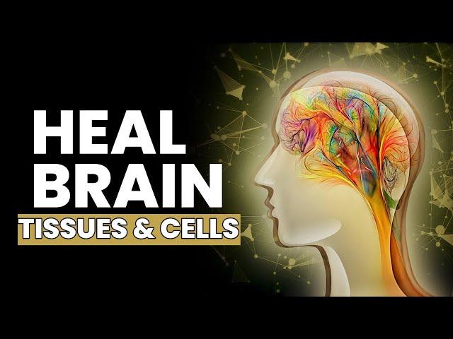 Regulate Your Cerebral Blood Flow | Prevent Brain Damage and Stroke | Heal Brain Tissues and Cells