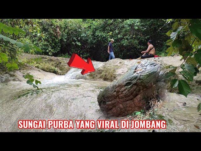 Viral..! Misteri Sungai Purba yang dipenuhi ular di jombang