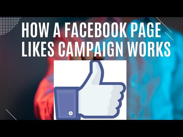 How A Facebook Page Likes Campaign Works