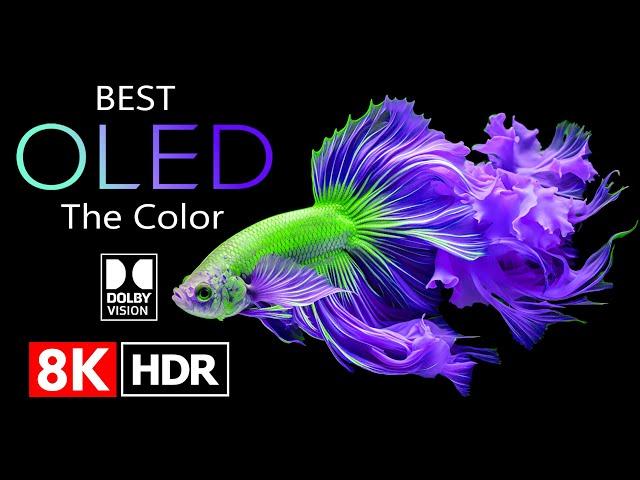 8K HDR 240 FPS Dolby Vision - Special OLED DEMO (8K Video)