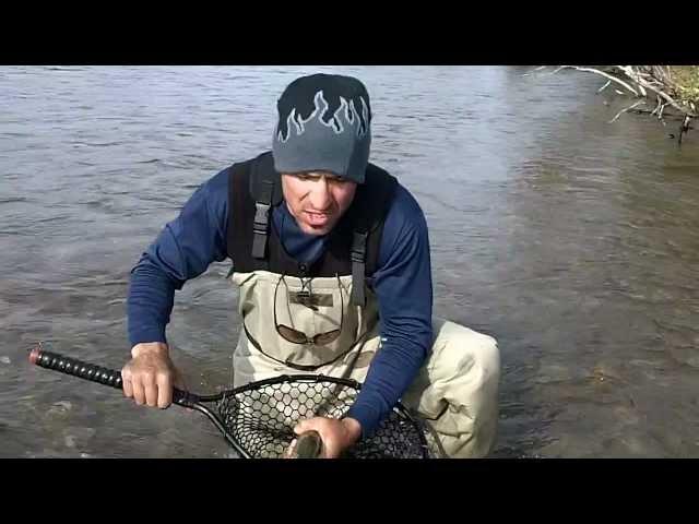 Max Muscle FLYFISHING Alaska trout