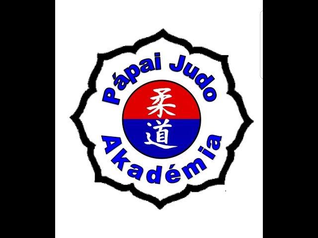 judo 4 kyu övvizsga