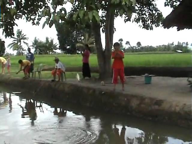 23 july 2010 fishing in the fishpond.mpg