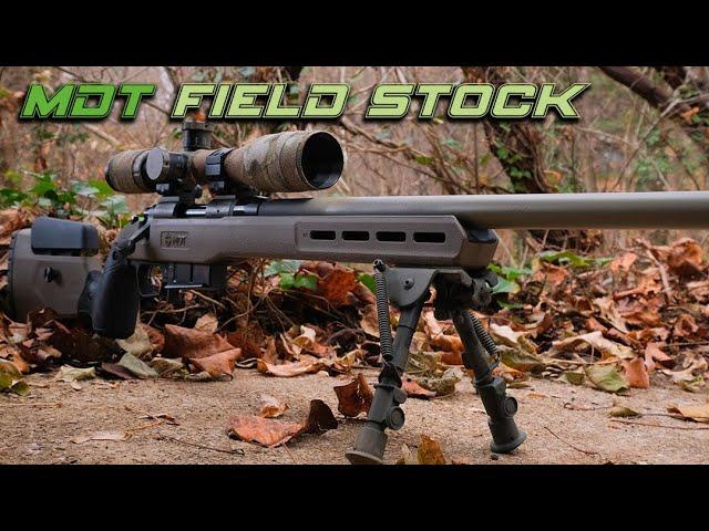 MDT FIELD STOCK: The Perfect Affordable Chassis/Stock?