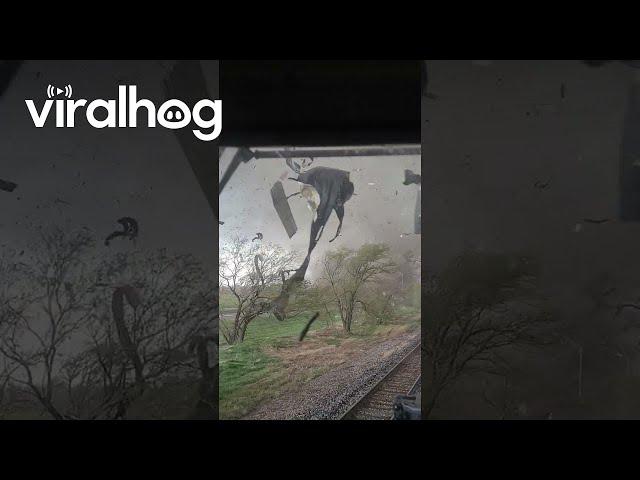 Train Conductor Finds Himself Caught In Tornado's Path || ViralHog