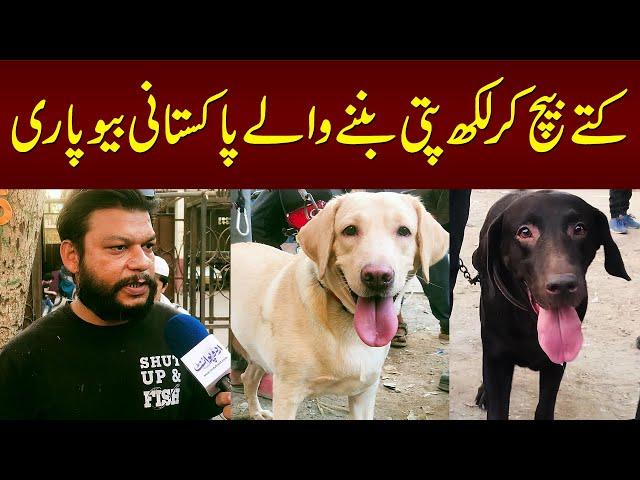 Karachi Dog Market - Dogs Baich Kar Lakhpati Banne Wale Pakistani Beopari