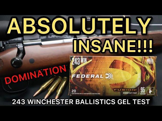 INSANE PERFORMANCE!!! 243 Winchester Federal Fusion 95gr PSP Ammo Test