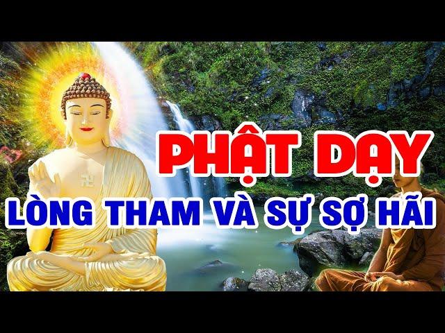  Phật Dạy Về Lòng Tham Lam Vô Đáy Và Sự Sợ Hãi, Sự ích Kỷ Tiền Bạc Của Con Người - Phật Pháp Online