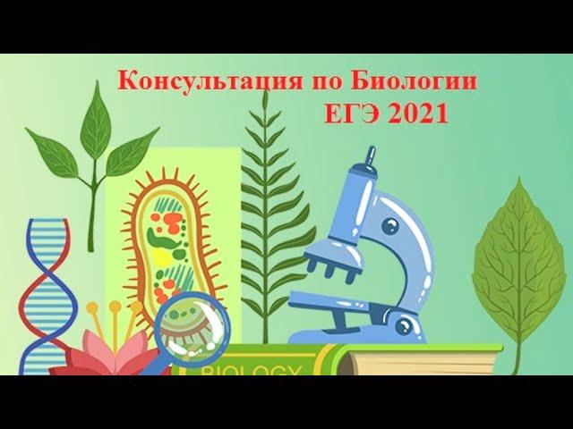 ЕГЭ по биологии 2021. Консультация 8 состоится 15.06.2021 в 6.00 по Московскому времени