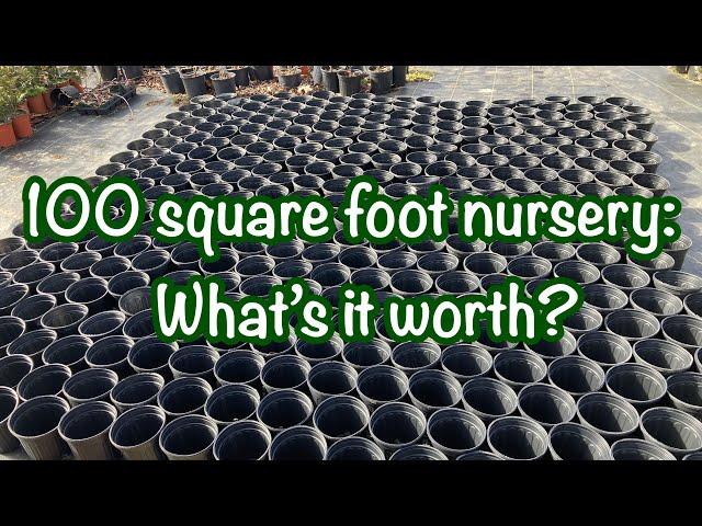 How much money is a 100 square feet nursery worth?