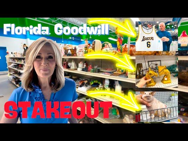 are Florida GOODWILLS any GOOD?? Thrift with us!