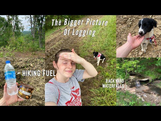 Why we logged our property | homesteading, hiking, Trinity Rae