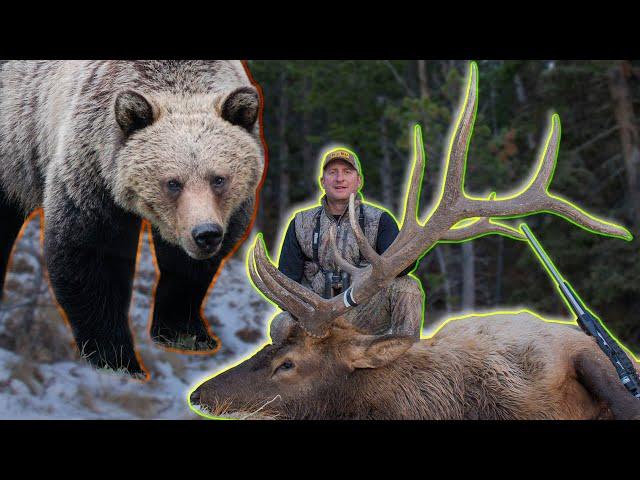 Hunting Elk in Grizzly Bear Country - Guy Eastman Wyoming Elk