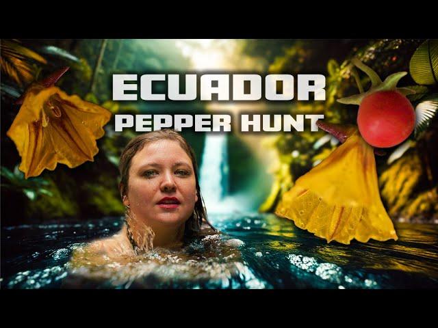 Ecuador's Pepper Kingdom | Unveiling Andean Capsicum 