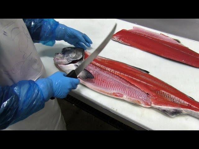 How to Fillet Chinook (King) Salmon