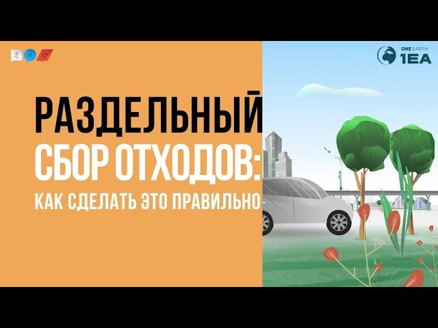 Раздельный сбор отходов: как сделать это правильно