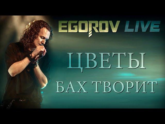 EGOROV (Евгений Егоров) - Бах творит ("Цветы" cover). Live. Жаркий летний концерт, Москва, 12.06.21.