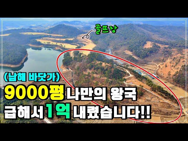 사계절이 아름다운 남해안 9000평 나만의 왕국. 바닷가&골프장 인접한 동산같은 임야 급매매 소식.