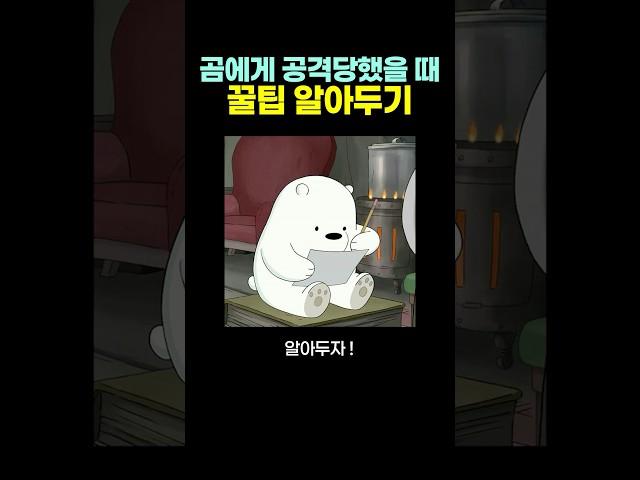 곰에게 공격당했을 때 ‘꿀팁‘.. 알아두자 ㄷㄷ