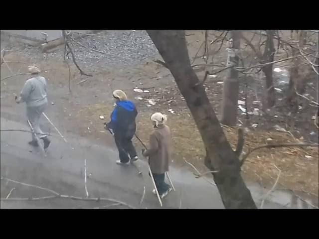 скандинавская ходьба с палками