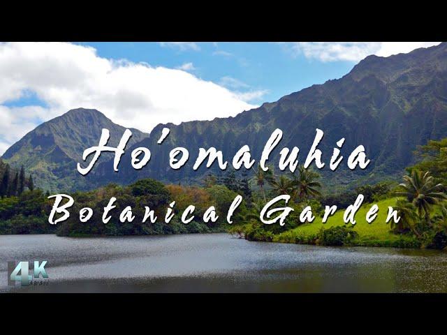 Hoomaluhia Botanical Garden Virtual Walk | Kaneohe, Oahu  Hawaii 4K Tour