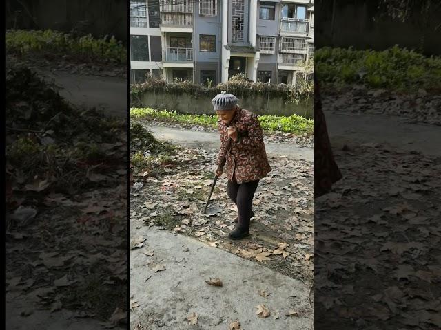 现实的农村老人生活，最现实的农村老年伴侣的生活现状#农业#农村老人#农村老人生活现状
