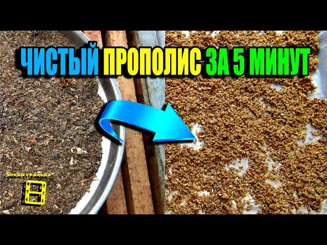 ФЛОТАЦИЯ – СУПЕР СПОСОБ ОЧИСТКИ ПРОПОЛИСА! ПРИМЕНЕНИЕ ПРОПОЛИСА. ПЧЕЛОВОДСТВО 25-01