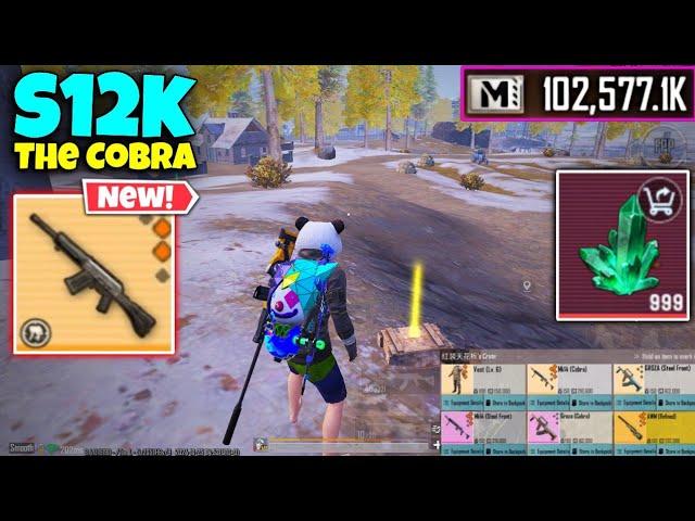 omg  Play With Double Shotgun ( s12k & NS-2000)| PUBG METRO ROYALE