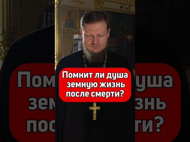 ДУША ПОМНИТ СВОЮ ЖИЗНЬ?