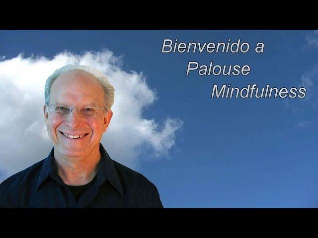 Bienvenido a Palouse Mindfulness - Dave Potter