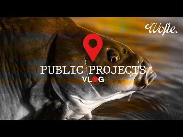 MOON PHASE | Public Projects | Wofte | Public Carp Fishing 2024 Adventure In Belgium