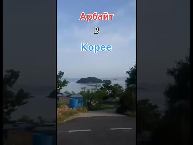 Отношение полиции к мигрантам #корея #кореясеул #арбайт #работавкорее