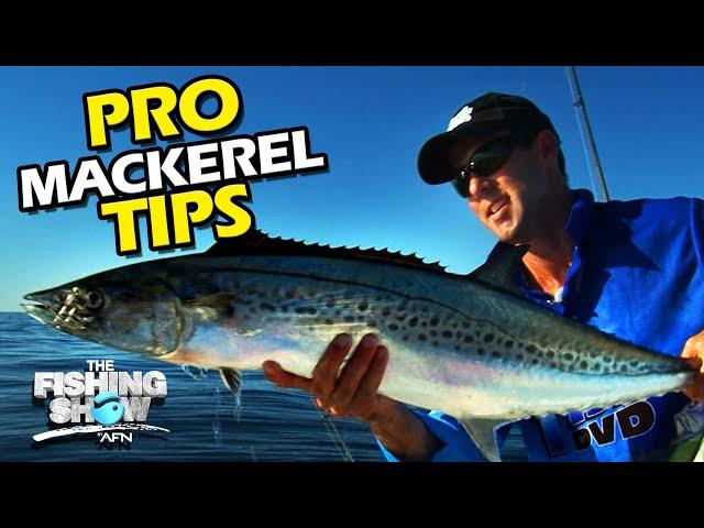 Pro Tips | Drifting Offshore Baits | Fishing Spotted Spanish Mackerel