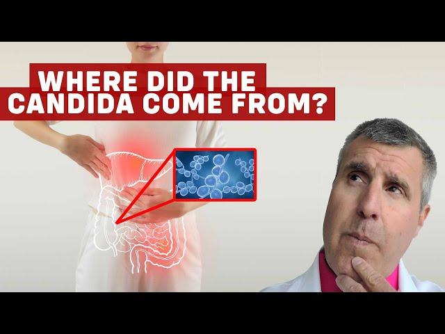 How Did I Get Candida?