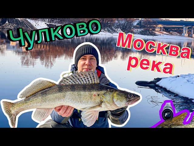 ЧУЛКОВО! МОСКВА РЕКА! РЫБАЛКА НА ЗАПРЕССОВАННОМ УЧАСТКЕ РЕКИ