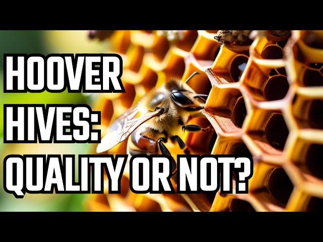 Hoover Hives: A No-Nonsense Review (Just the Facts!)