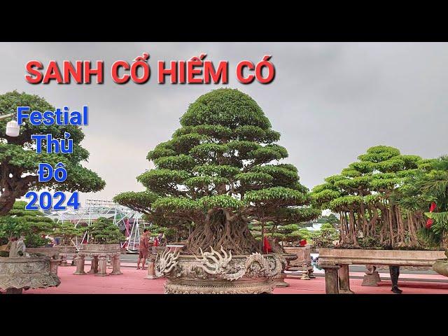 ẤN TƯỢNG với những TP của anh HUY BV 108 tại FESTIVAL THỦ ĐÔ 2024 .